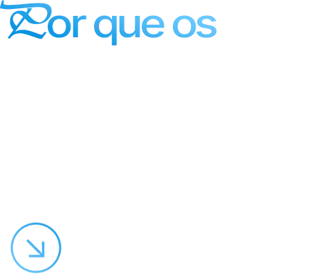 Img 1