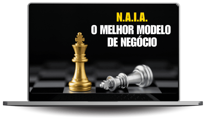N.A.I.A, o modelo de negócio